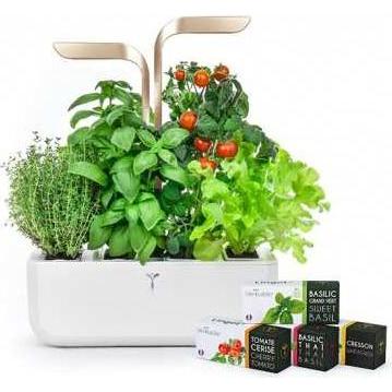 Véritable, Blumentopf, VERITABLE CONNECT Indoor Garten gold inkl 4 Packs (33 cm)