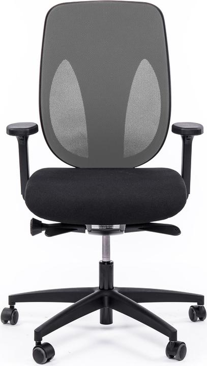 Immagine prodotto Giroflex 353-4029