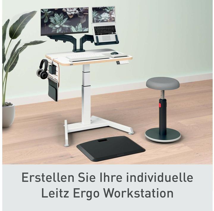 Image du produit Leitz Schreibtischorganizer Ergo