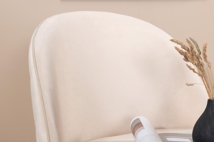 Produktbild Venture Home Esszimmerstuhl Velvet