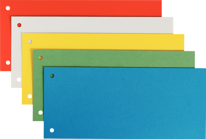 Actual product image Leitz Separation strips