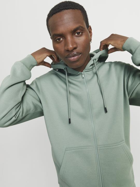 Actual product image Jack & Jones Jjebradley Sweat Zip Hood Noos (S)