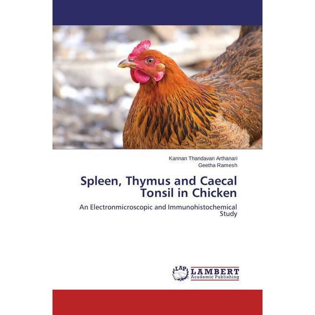 Spleen, Thymus and Caecal Tonsil in Chicken, Fachbücher von Geetha Ramesh, Kannan Thandavan Arthanari