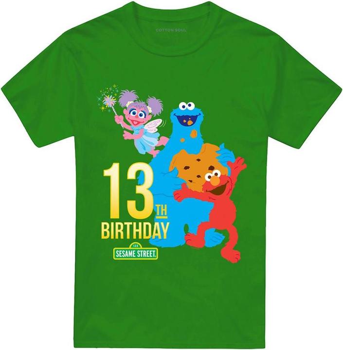 Produktbild Sesame Street TShirt 13 Geburtstag (XXL)