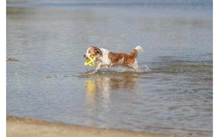 Image du produit Trixie Pince de préhension Aqua Toy (Apporter)