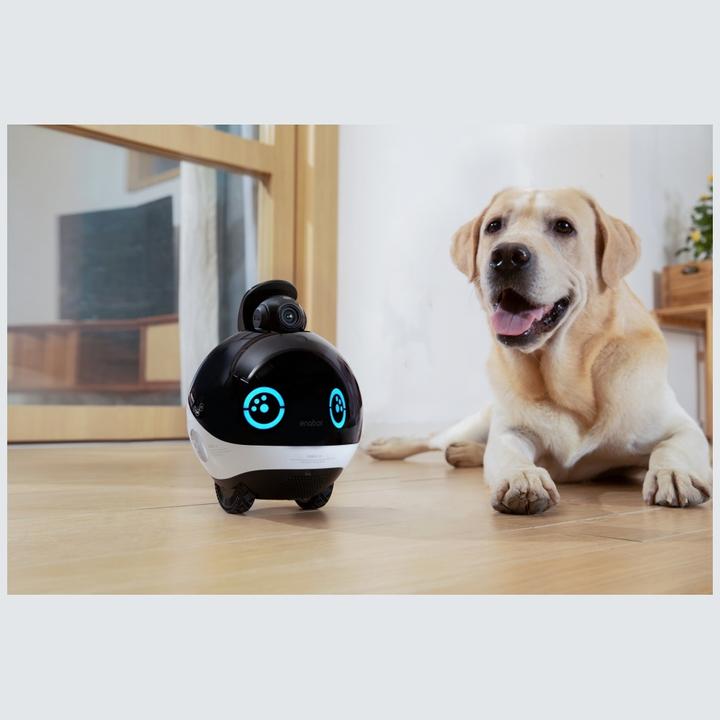 Immagine prodotto Enabot Robot di sorveglianza EBO X con telecamera WLAN (3840 x 2160 pixel)