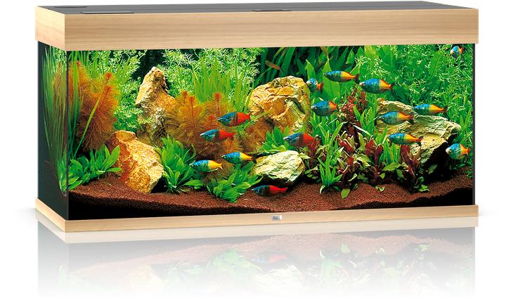 Image du produit Juwel Aquarium Rio (180 l)