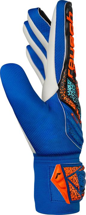 Actual product image Reusch Attrakt Starter Solid Jr Torwarthandschuhe (6)