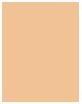 Immagine prodotto Rimmel London Rimmel Correttore Multitasker 030 10ml (030 Luce)