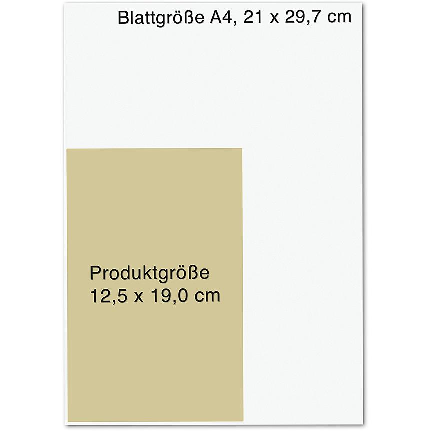Der zweite Verdächtige, Belletristik von Michael Tsokos, Florian Schwiecker