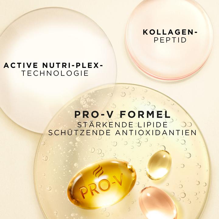 Produktbild Pantene Pro-V Repair & Care (300 ml, Flüssiges Shampoo)