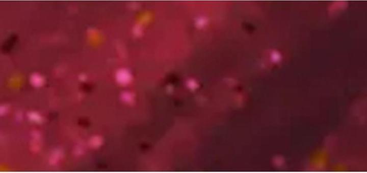 Immagine prodotto OPI Gelcolor Gel Nail Polish 15 Ml (Smalto per unghie effetto gel)