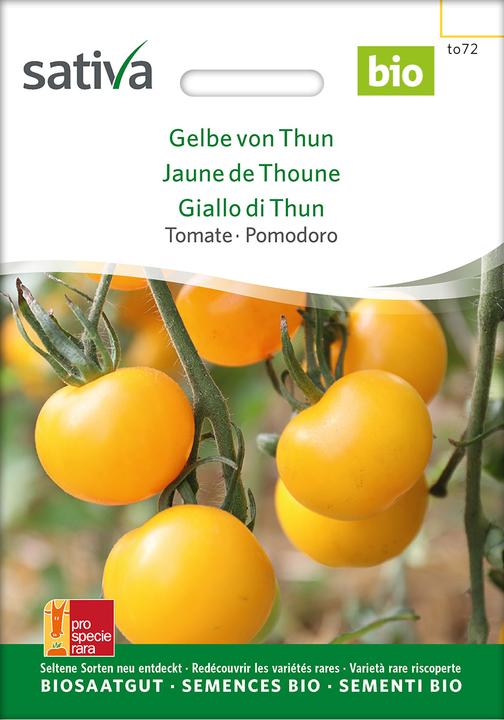 Produktbild Sativa Tomate Gelbe von Thun (Gemüsesamen)