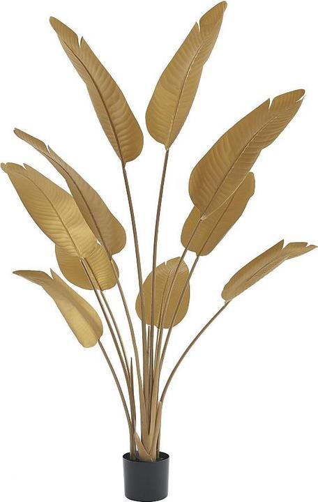 Immagine prodotto Ozaia Nendaz (160 cm)