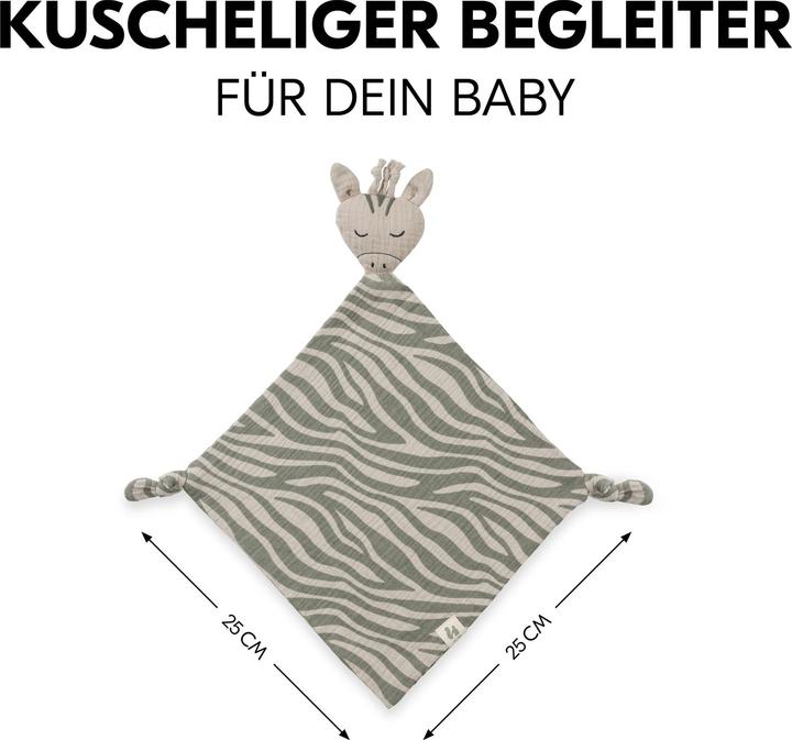 Produktbild Hauck Cuddle N Play Zebra Sage