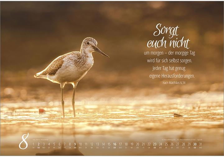 Produktbild Real Wildlife 2026 (49 x 34 cm)