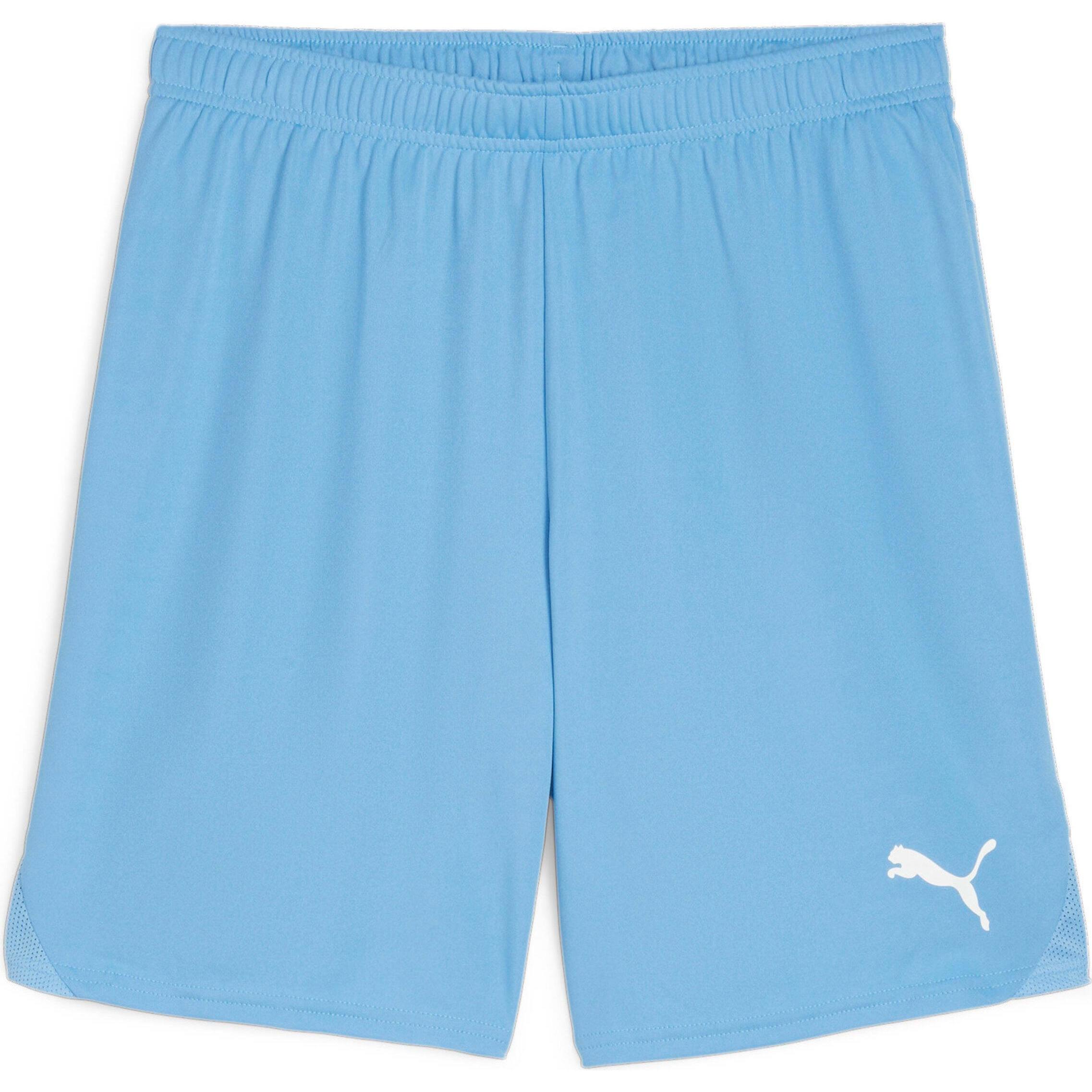Puma, Herren, Sporthose, teamGOAL Shorts (L), Blau, L