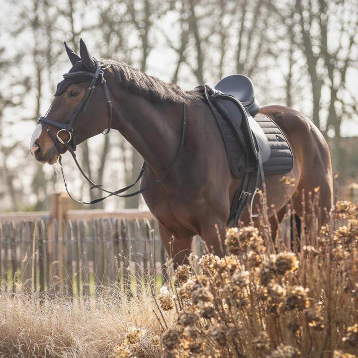 Produktbild Qhp Salerno