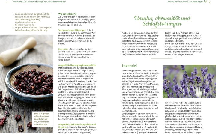 Produktbild Girsch:Mit Naturheilkunde Stress bewält (Deutsch, Michaela Girsch, 2024)
