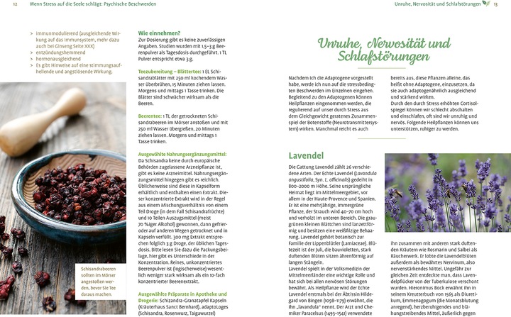 Image du produit Girsch:Mit Naturheilkunde Stress bewält (Allemand, Michaela Girsch, 2024)