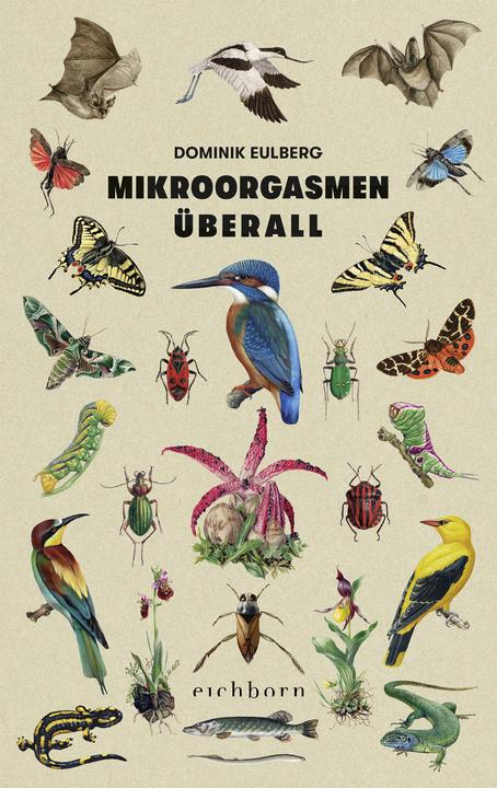 Mikroorgasmen überall (Deutsch, Dominik Eulberg, 2021)