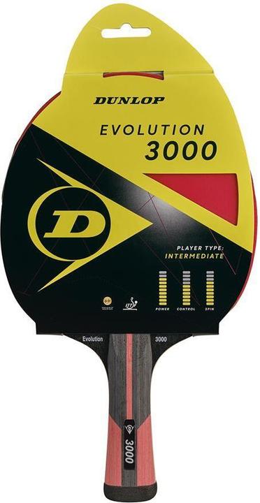 Actual product image Dunlop Evolution 3000