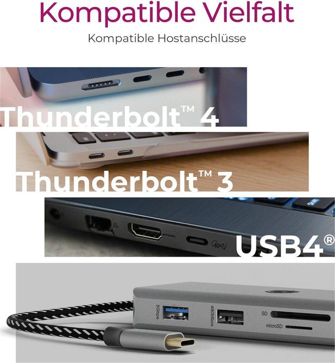 Produktbild Icy Box IB-DK4012-CPD (USB-C, 9 Ports)