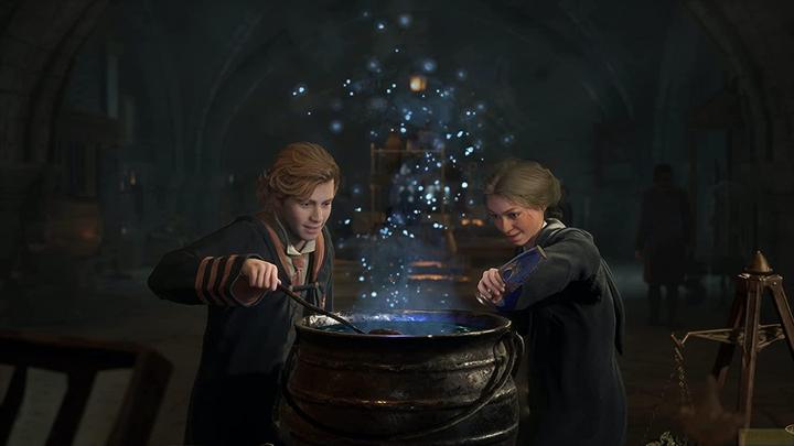 Actual product image WB Hogwarts Legacy (PS4, DE, FR)