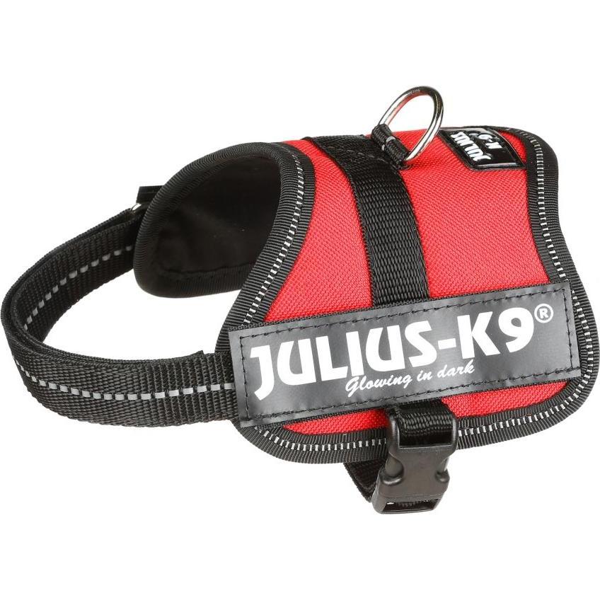 Thumbnail - Julius-K9 Powergeschirr für kleinere Hunde ergonomisch (XS, S, Hund, Hundesport), Halsband + Leine