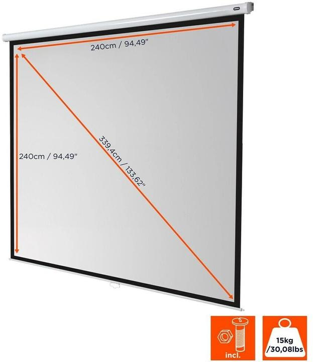 Actual product image Celexon Roller blind Economy, screen, 1:1 (133.86", 1:1)