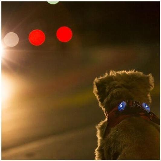 Productafbeelding Curli Luumi LED blauw (Hond, Hondensport)