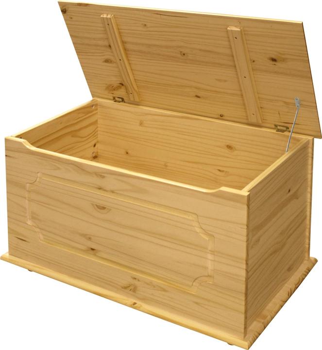 Image du produit Möbilia Coffre (89 cm, 50 l)