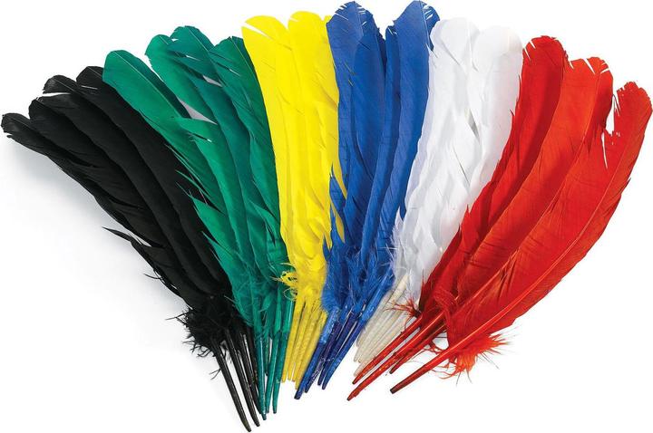 Immagine prodotto Colorations Da colorare - Piume da 30 cm, set da 24