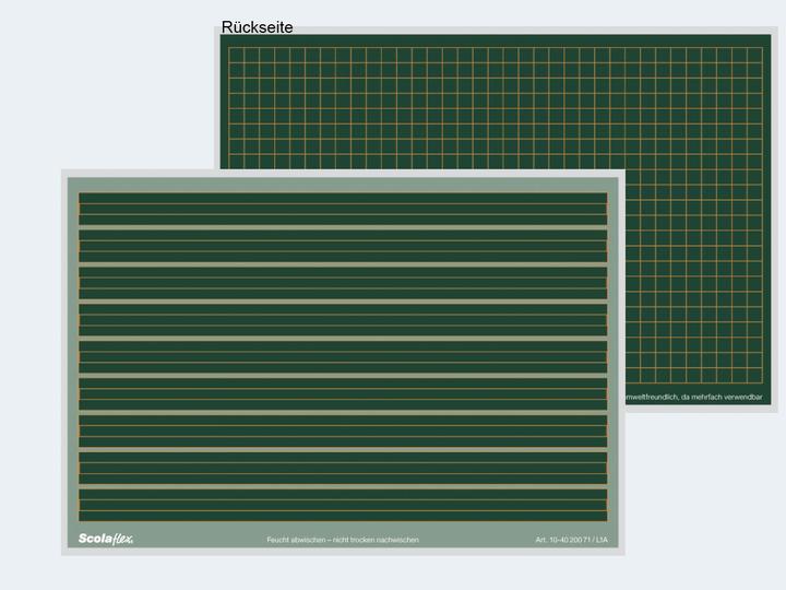 Staufen Scolaflex-Tafel L1