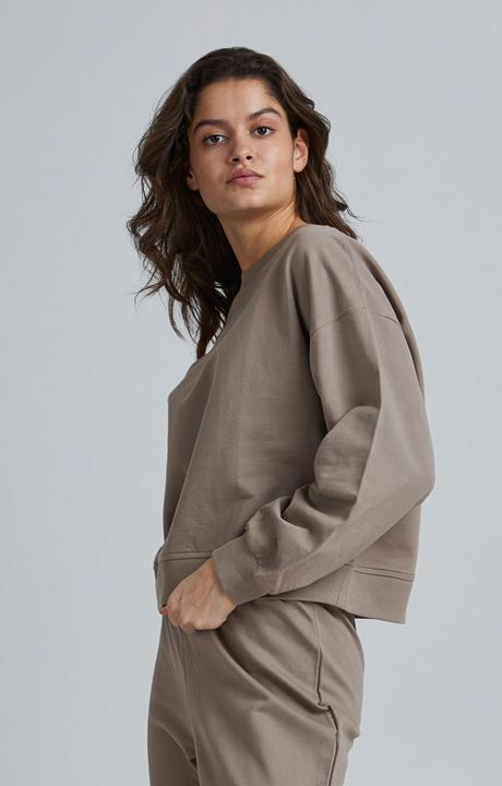 Image du produit Ichi IHVEA SW2 20116000 (XXL)