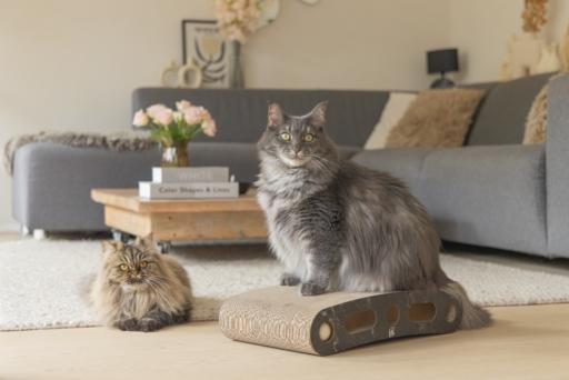 Produktbild Designed by Lotte Karton Kratzspielzeug Suvi (Schwarz)