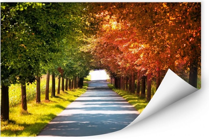 Produktbild Trenddeko Herbst (150 x 100 cm)