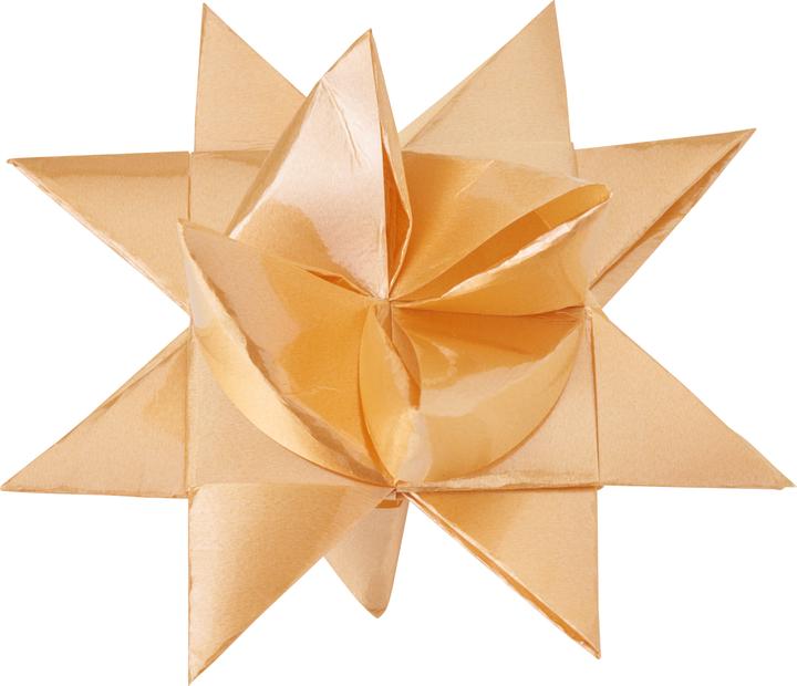 Immagine prodotto Gebrüder Bertels Strisce di carta "Outdoor, Gold", 25 mm, 16 strisce (16 x)