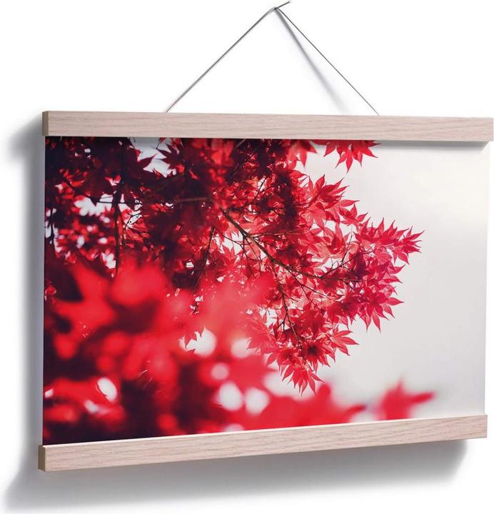 Produktbild Trenddeko Ahornbaum im Herbst (45 x 30 cm)