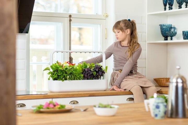 Image du produit Click and Grow Smart Garden 9 (62.50 cm)