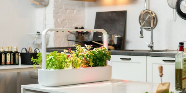 Image du produit Click and Grow Smart Garden 9 (62.50 cm)