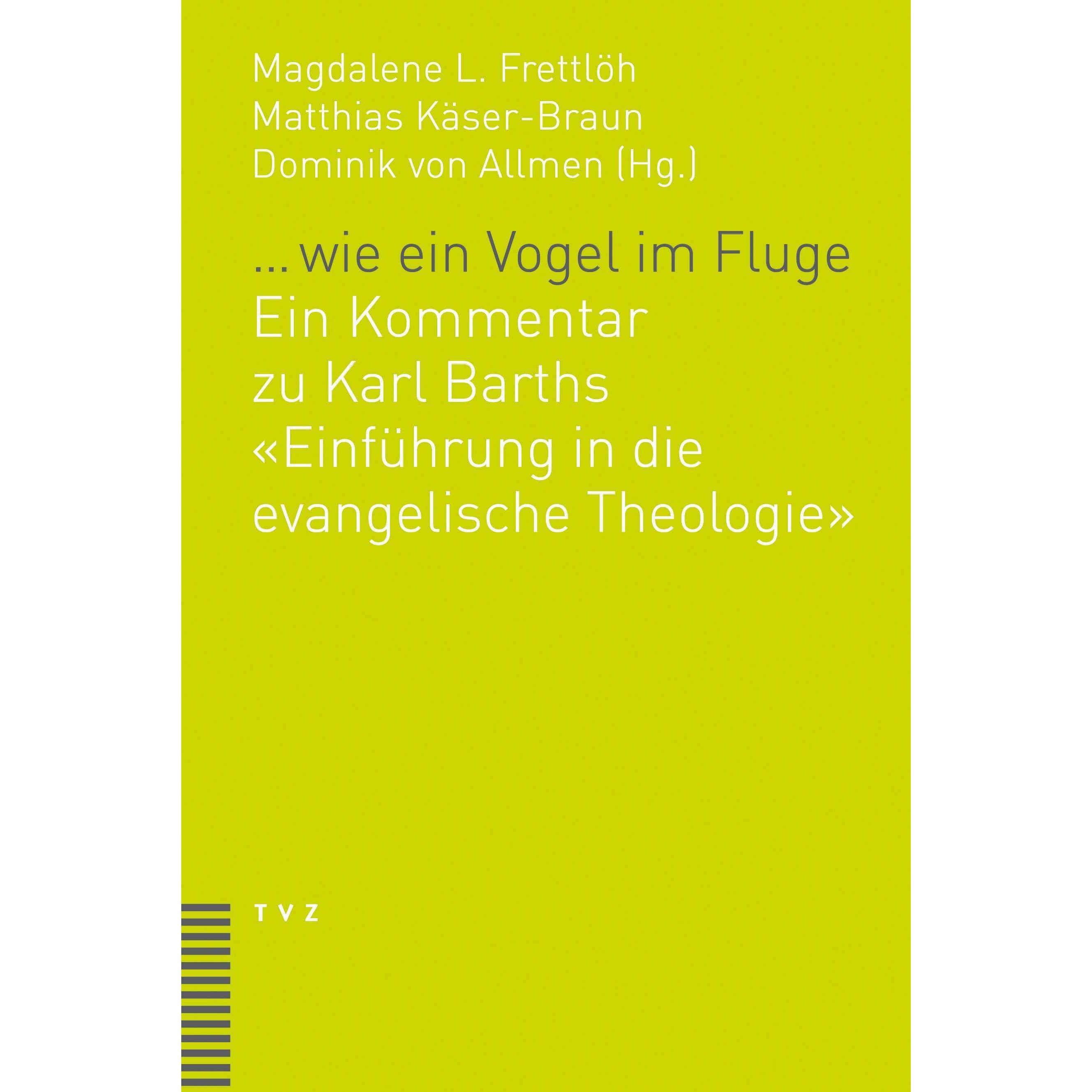 … wie ein Vogel im Fluge, Fachbücher von Matthias Käser, Dominik von Allmen-Mäder