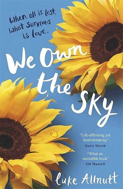 Produktbild We Own The Sky (Englisch, Luke Allnutt, 2018)
