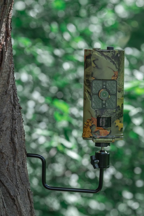Immagine prodotto Braun Photo Vite ad albero BRAUN per fotocamere da gioco da 1/4"