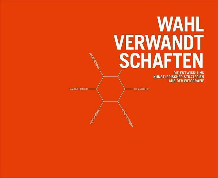 Produktbild Wahlverwandtschaften (Deutsch, Simone Eicher Demandt, 2011)
