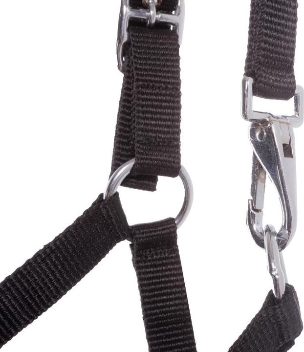 Immagine prodotto Kavalkade Cavezza per puledri e yearling