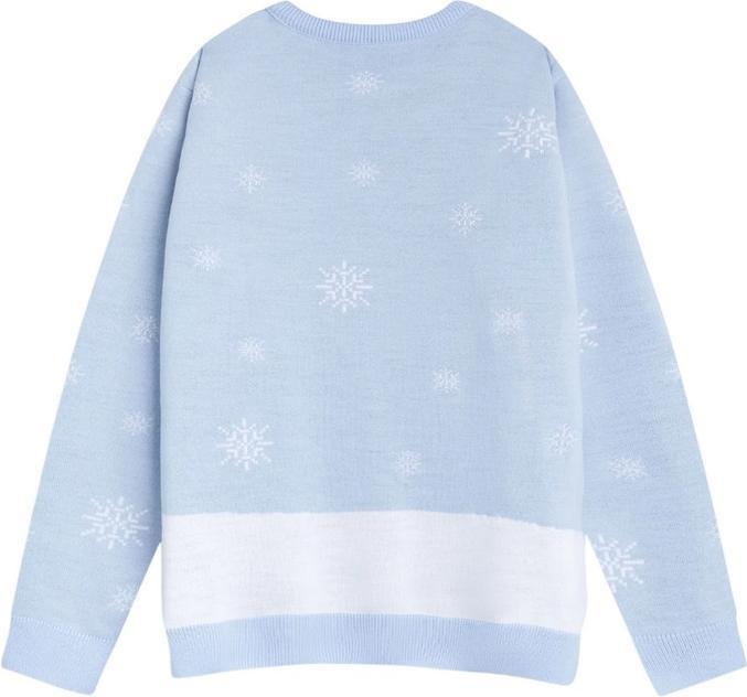 Produktbild Winnie the Pooh Pullover weihnachtliches Design (S)