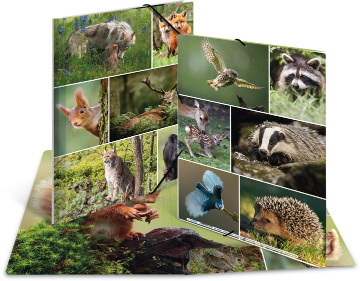 Produktbild HERMA Sammelmappe A4 Motiv (A4, 1x)