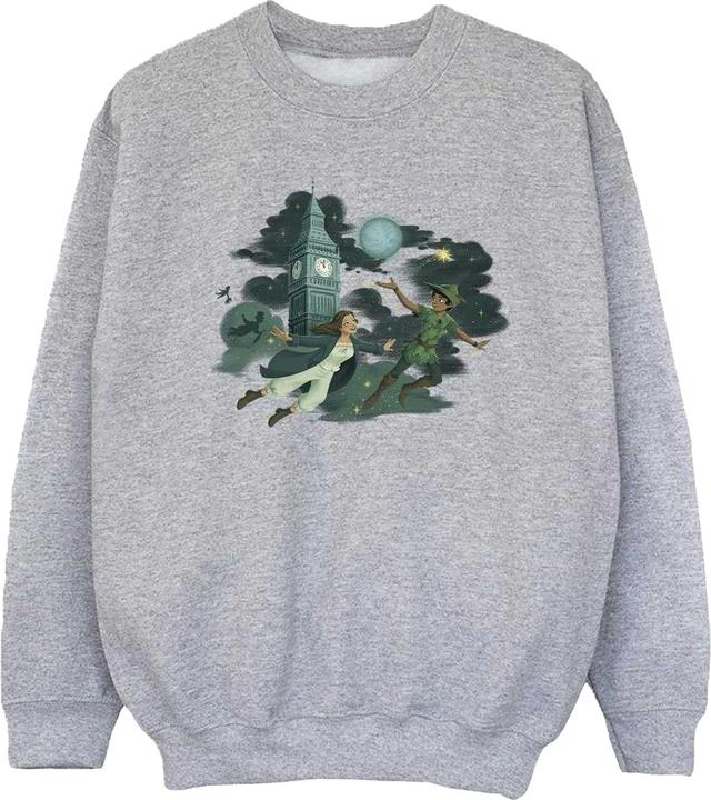 Image du produit Disney Sweatshirt Mädchen (104)