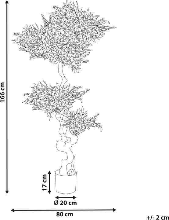 Immagine prodotto Beliani Ruscus Tree (166 cm)